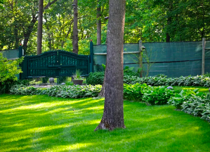 PHOTOS Three homes with lake views on Lake Pepin for sale Business