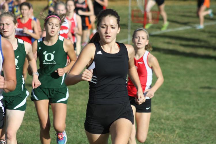 tiger runners online