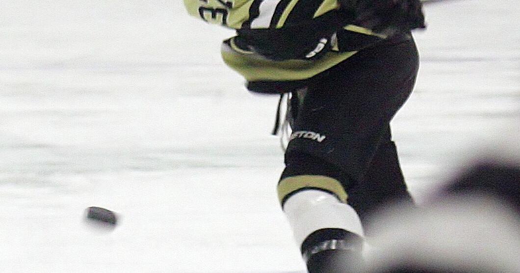 East Ridge girls hockey: Raptors win Schwan Cup title | Sports ...