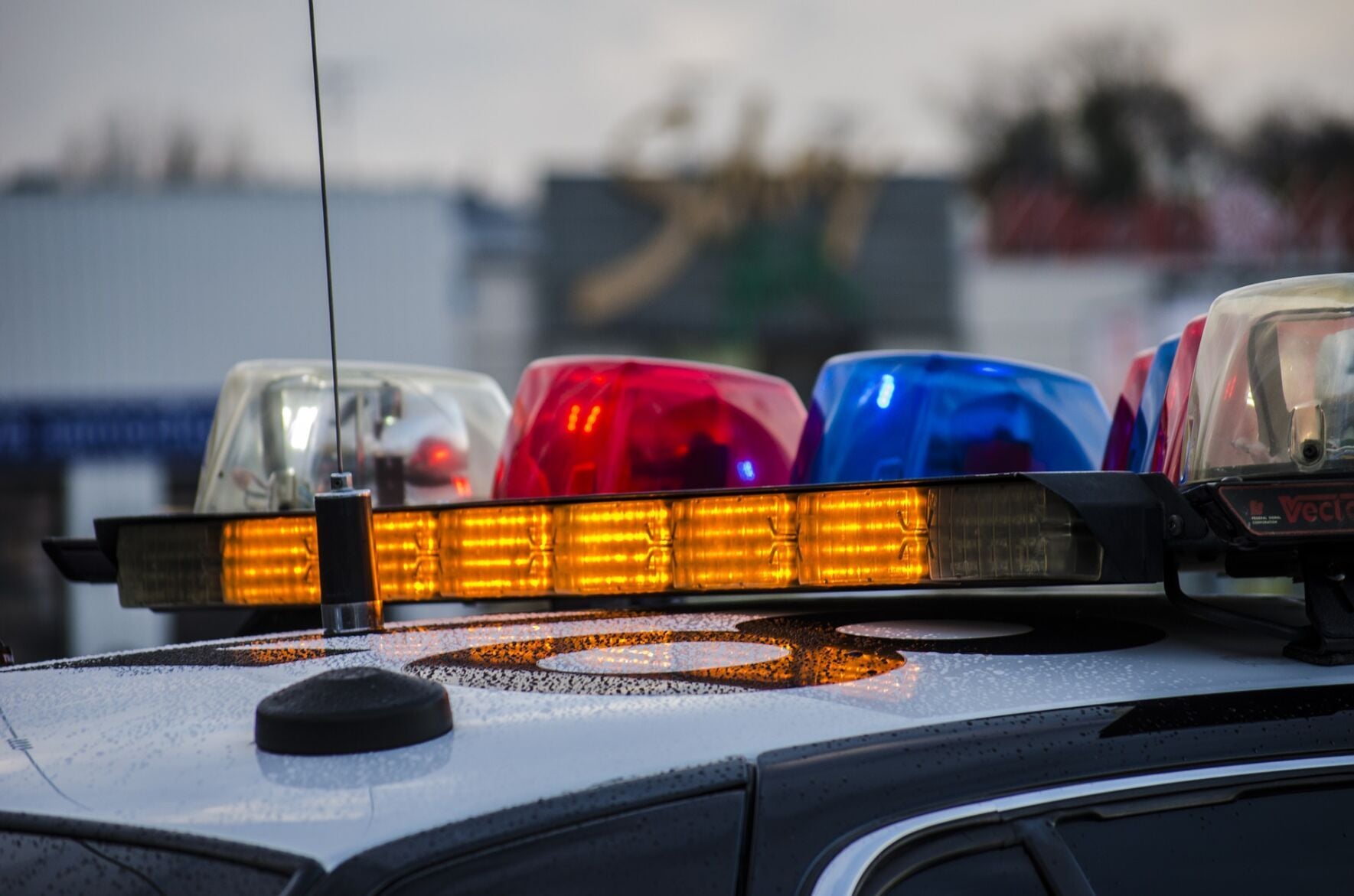 These are the Cannon Falls police, Goodhue County Sheriff's reports for this week - Vimarsana News