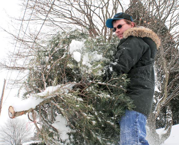 Boy Scouts collect Christmas trees, help environment | News ...