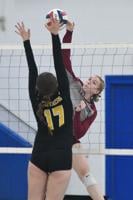 HS VOLLEYBALL: Schuylkill League, District 11 unveil all-star teams