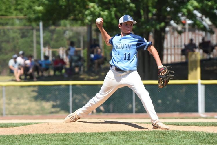 Coach Pitch, Little League wrap up tournament championships - The Mountain  Citizen