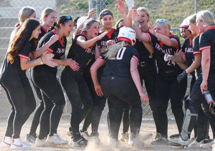 Camas Little League players win district title, head to state