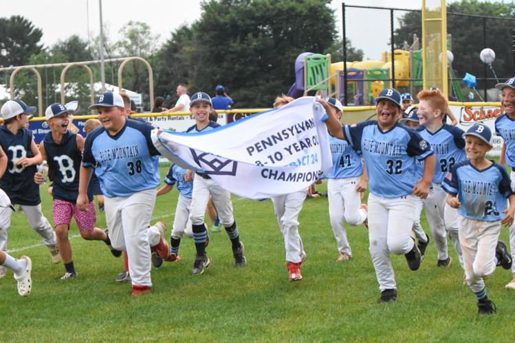 Little League: Braves earn hard-fought win in youth title game, Local  Sports