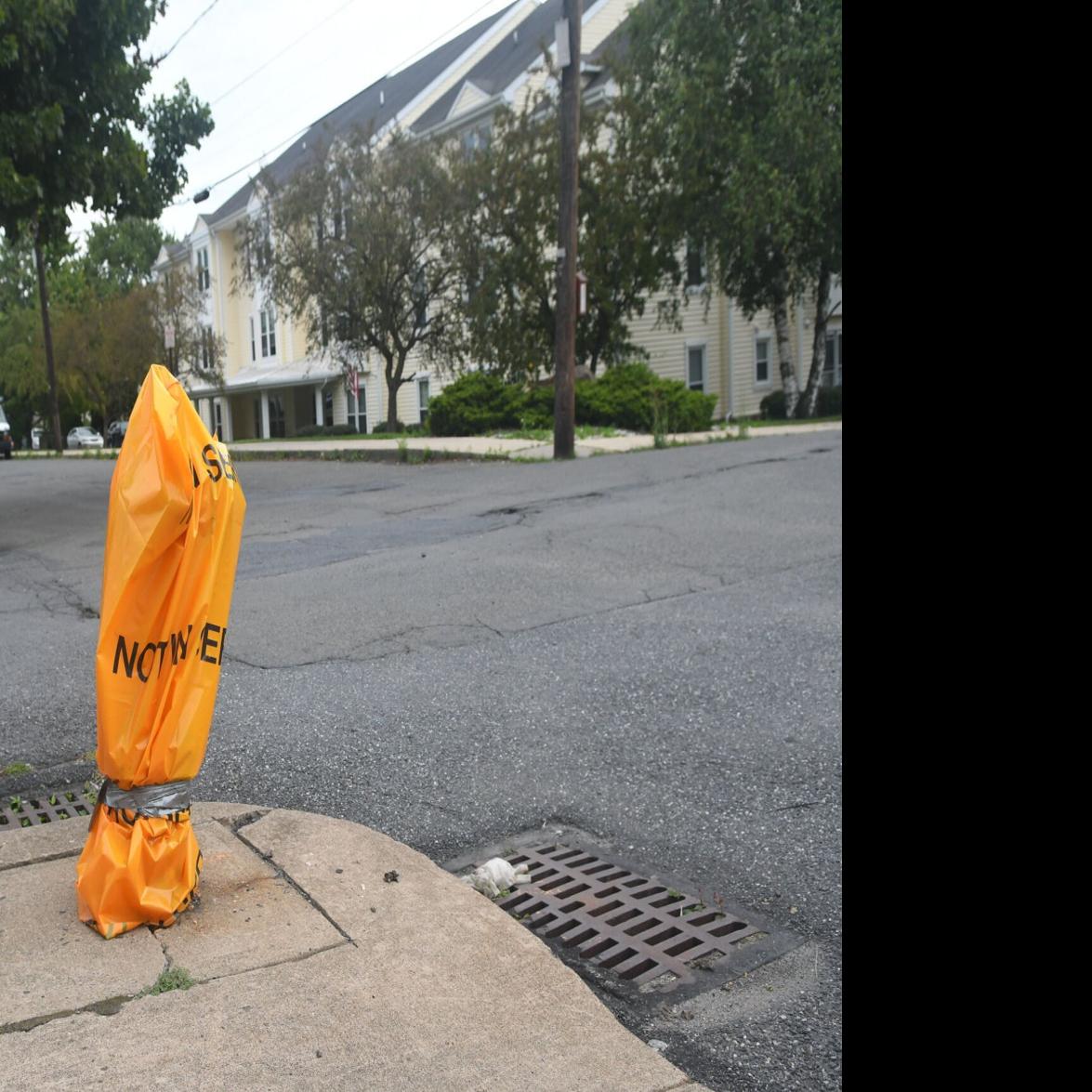 Fire Hydrant Pickup Bags