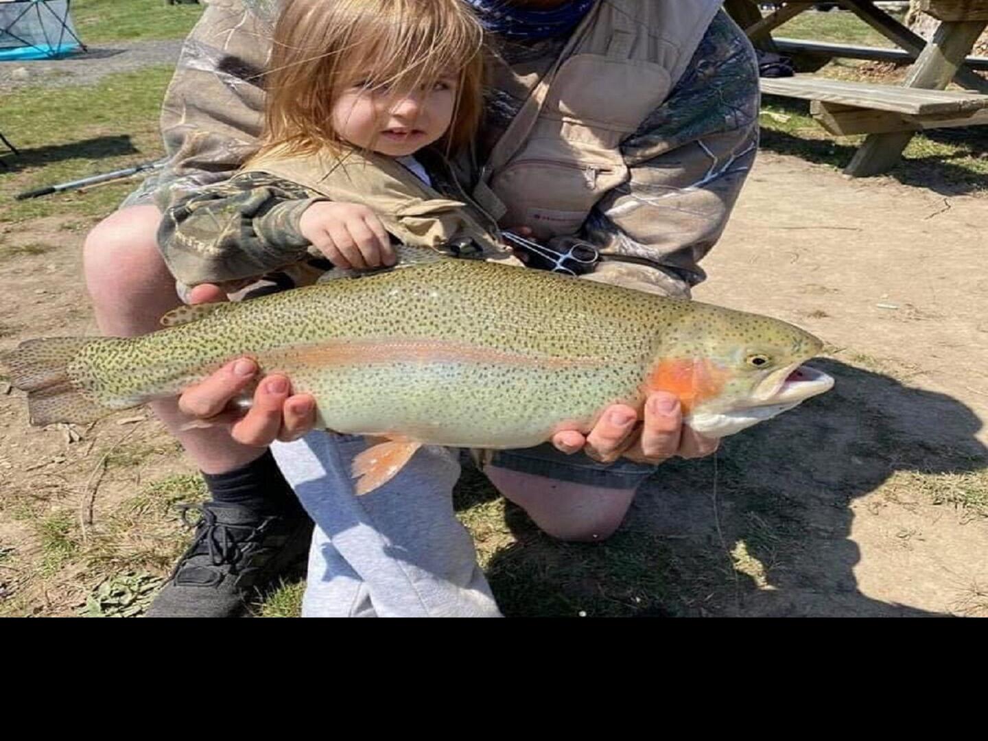 Trout bench