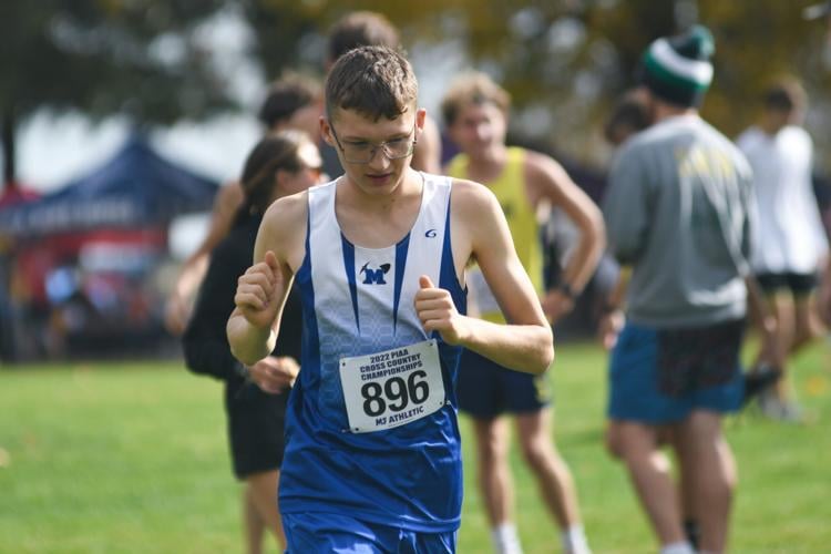 PIAA CROSS COUNTRY Boys' teams gain experience for the future Sports