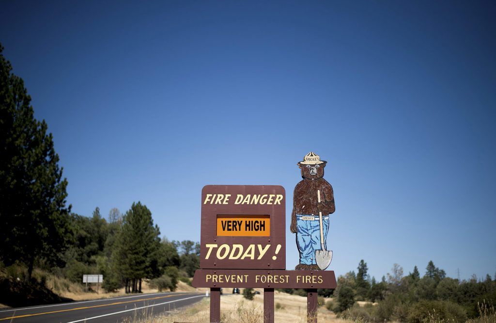 Fire-prevention icon has a ZIP code, Facebook page and mobile app: Smokey  Bear's 75th birthday 