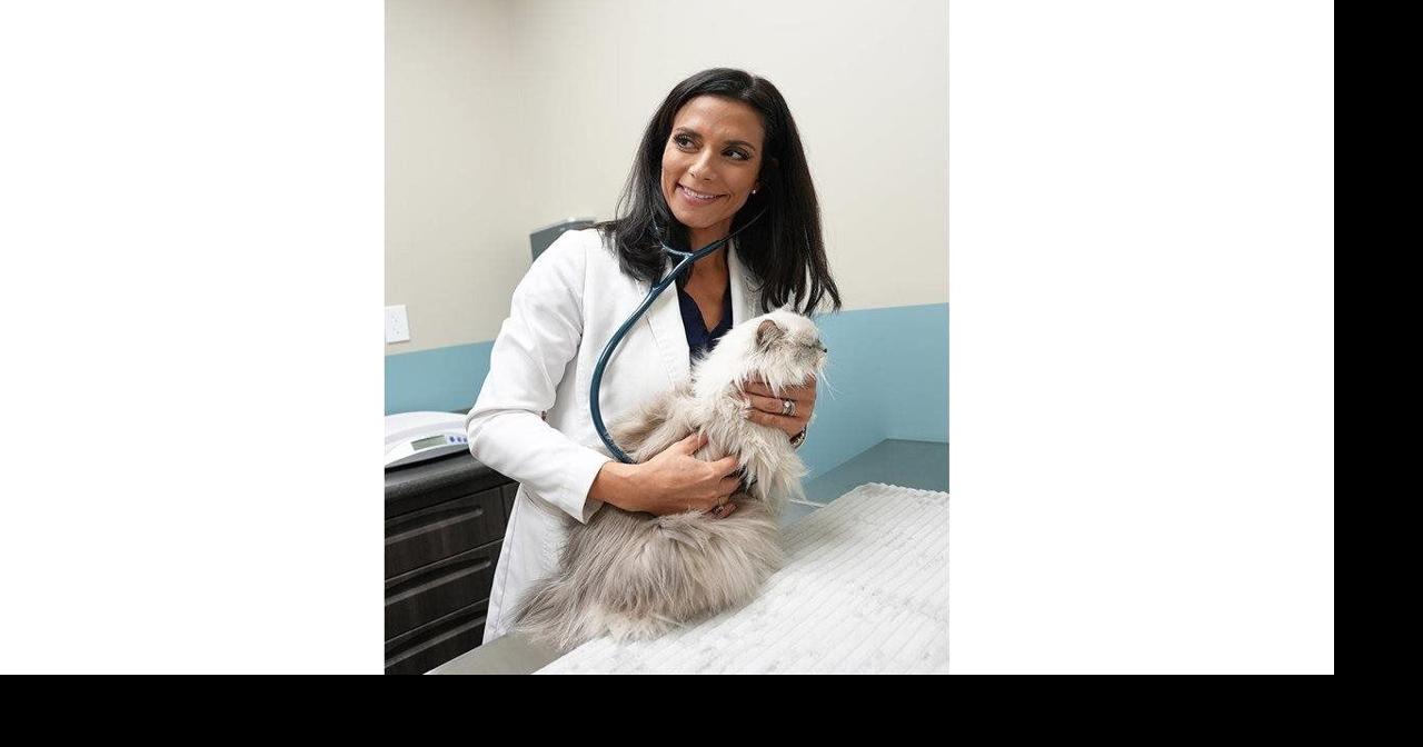 The ultimate gift to monitor your cat's health this holiday season and beyond