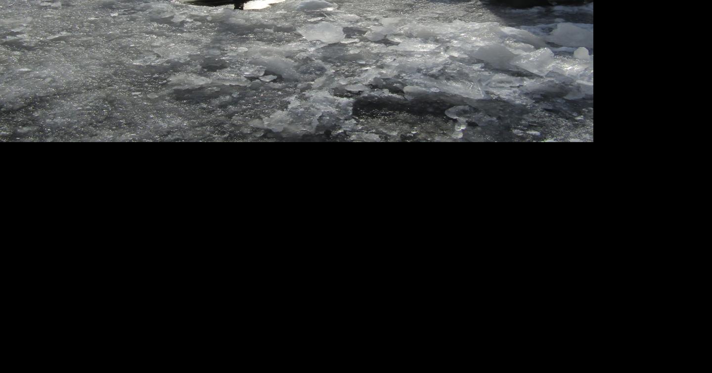 Fish Wrap: five tips for the ice fishing season | Arts Entertainment ...