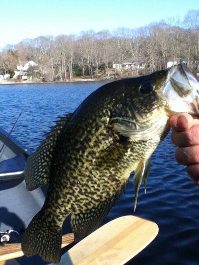 State Asking To Raise Hunting And Fishing License Fees Arts Entertainment Ricentral Com