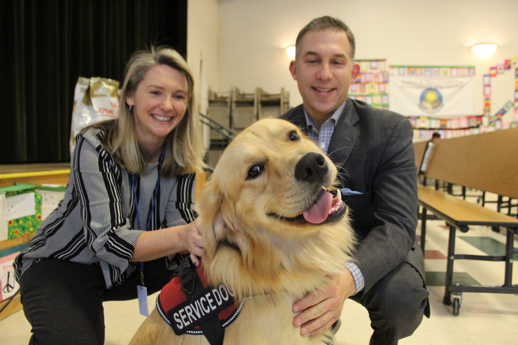 seizures in older golden retrievers