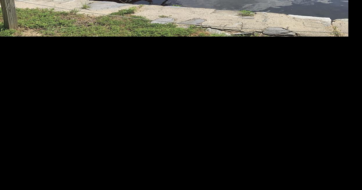 Thousands come out for Wickford Art Festival NK StandardTimes