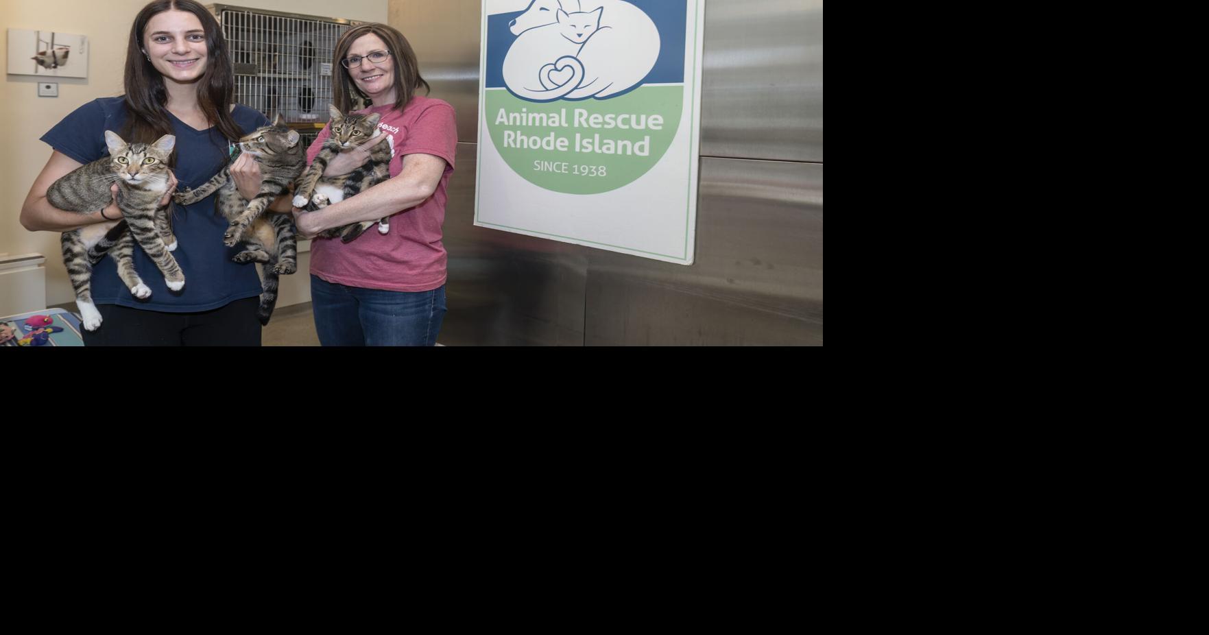 Animal Rescue Rhode Island answers the international call Coventry