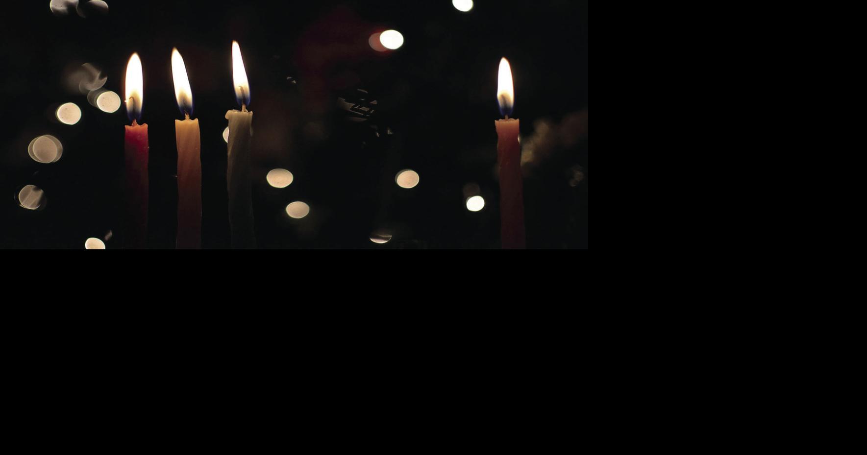 Natural history gifts for all—whatever your means Arts Entertainment