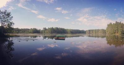 Forest Lake, Minnesota - Wikipedia