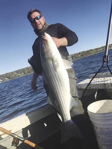 Catching Calamari-Crazed Stripers - On The Water