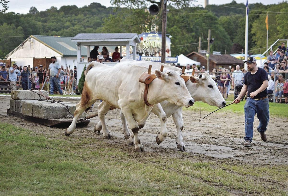 North Stonington Fair 2022