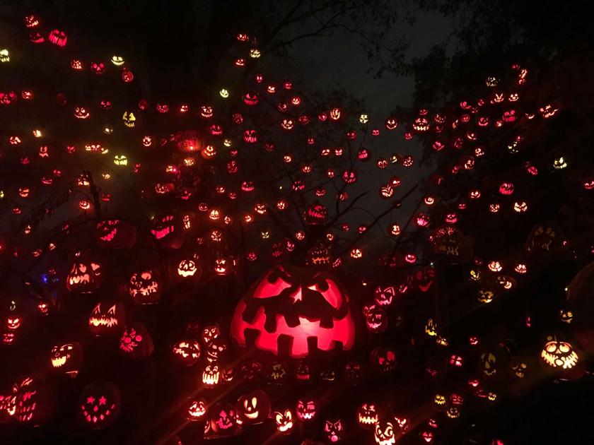 JackOLantern Spectacular at Roger Williams Park Zoo Narragansett