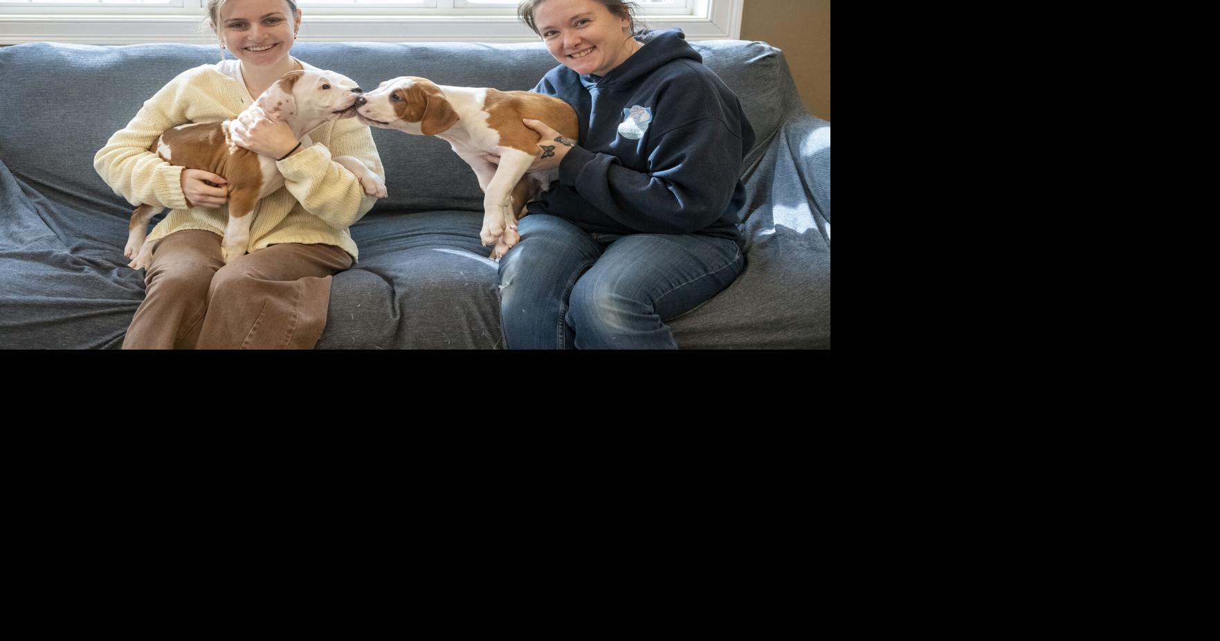 Animal Rescue RI celebrates a moment in spotlight for local puppy ...