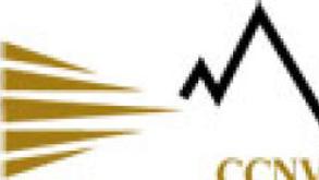 Community Care Network Of Virginia Inc Information Technology Services Henrico Va Richmond Com