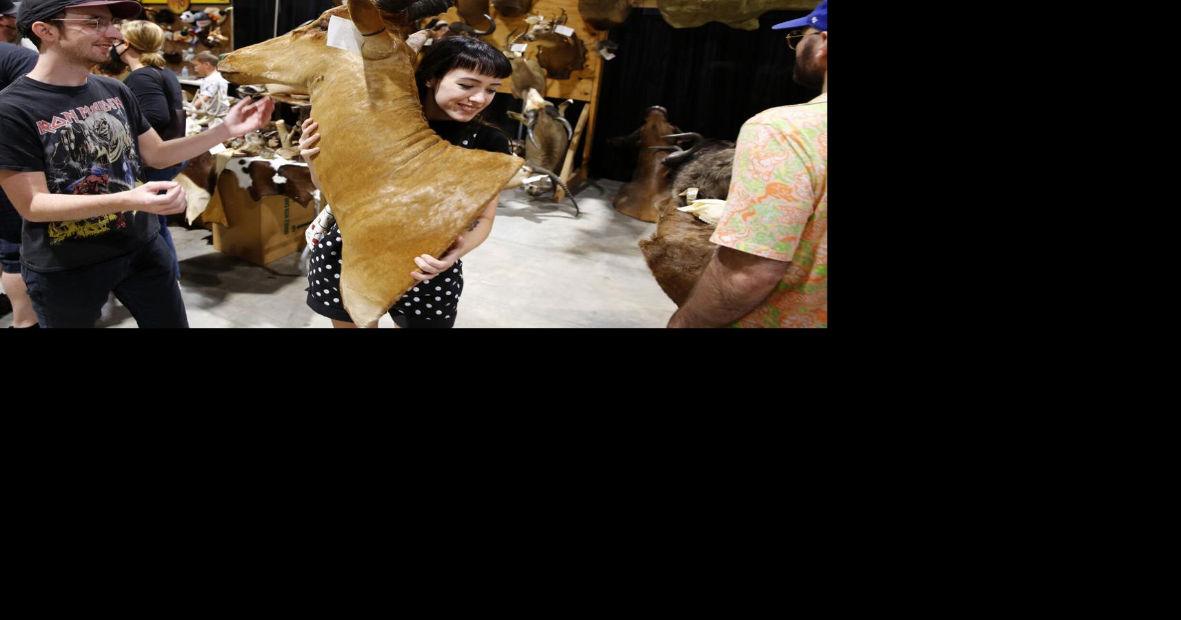 PHOTOS The Oddities & Curiosities Expo