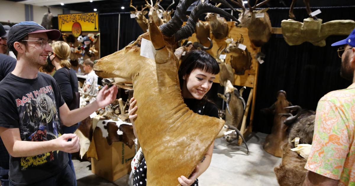 PHOTOS The Oddities & Curiosities Expo