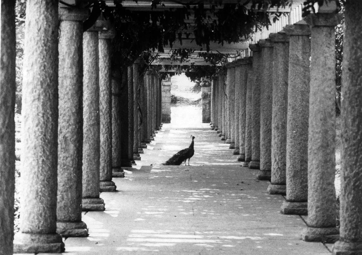 From The Archives More Than 175 Photos Of Richmond In The 1980s