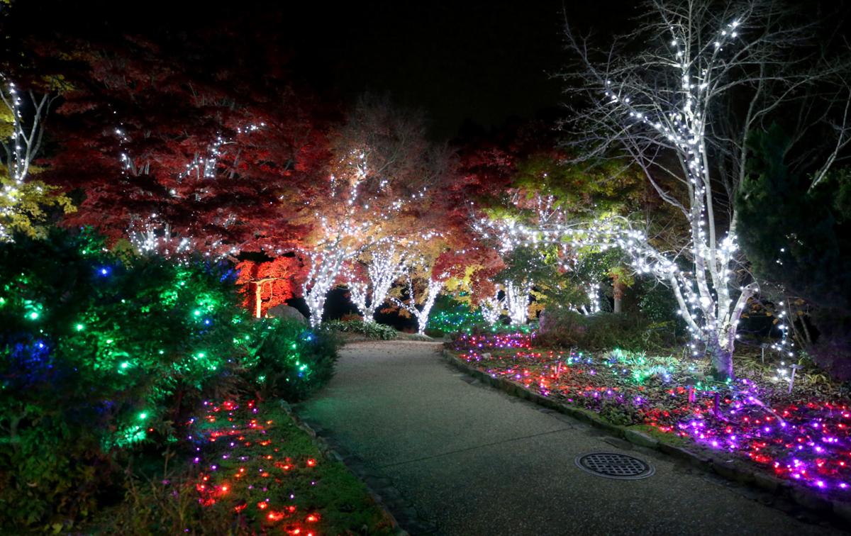 Richmond S Gardenfest Of Lights In Top 10 For Usa Today S Best