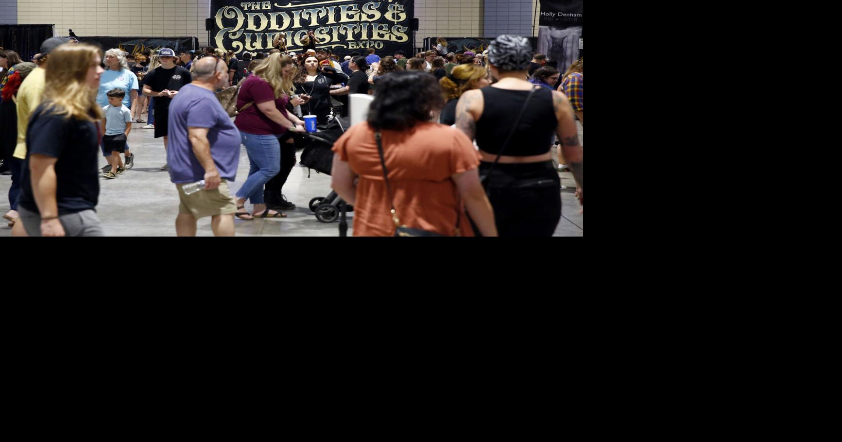 The Oddities & Curiosities Expo