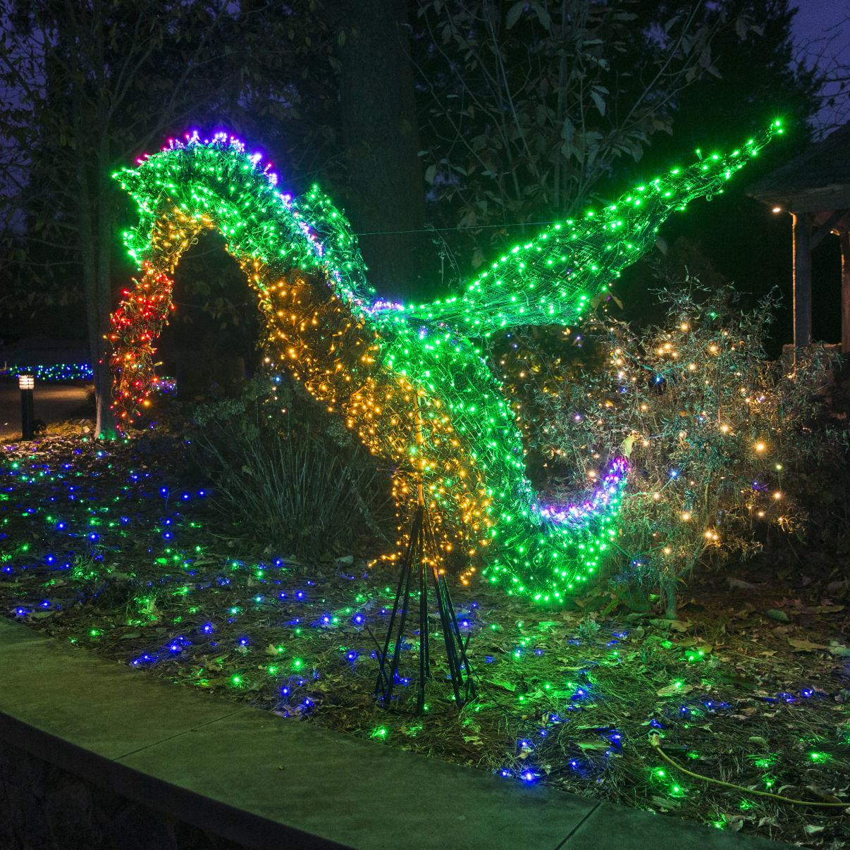 Top Five Weekend Events Gardenfest For Fidos Richmond Revolution