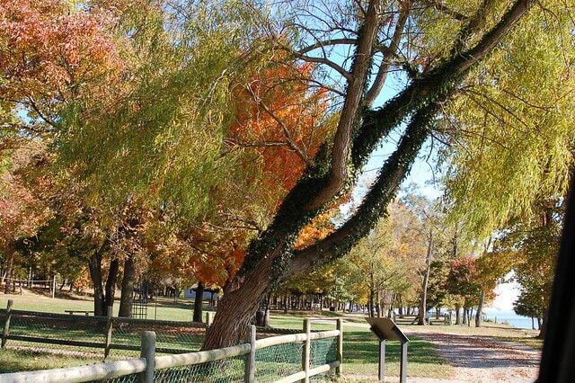 Fall on the East Coast