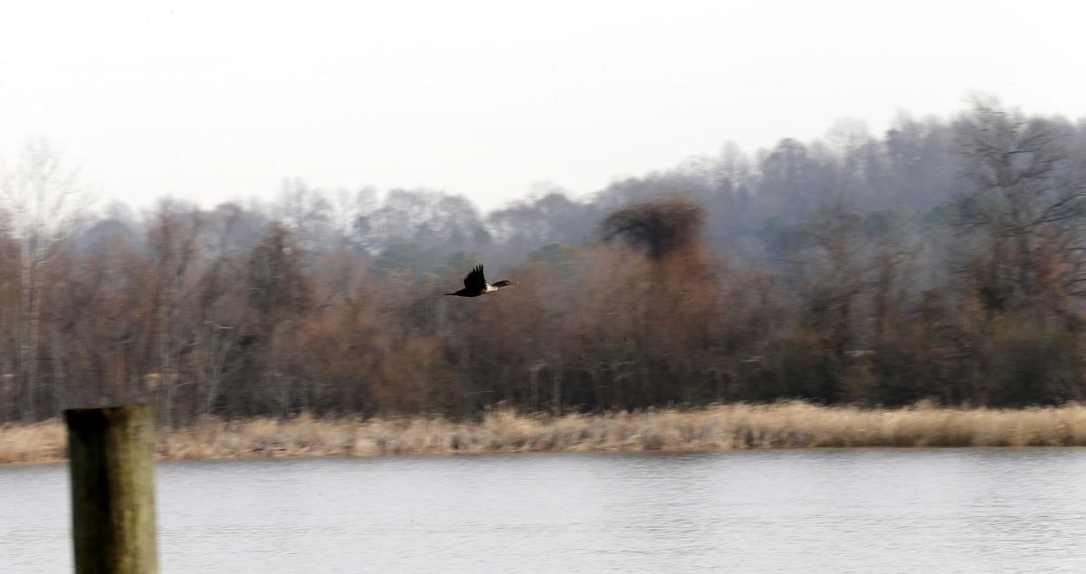 20180118_BIZ_RIVERSBEND_02