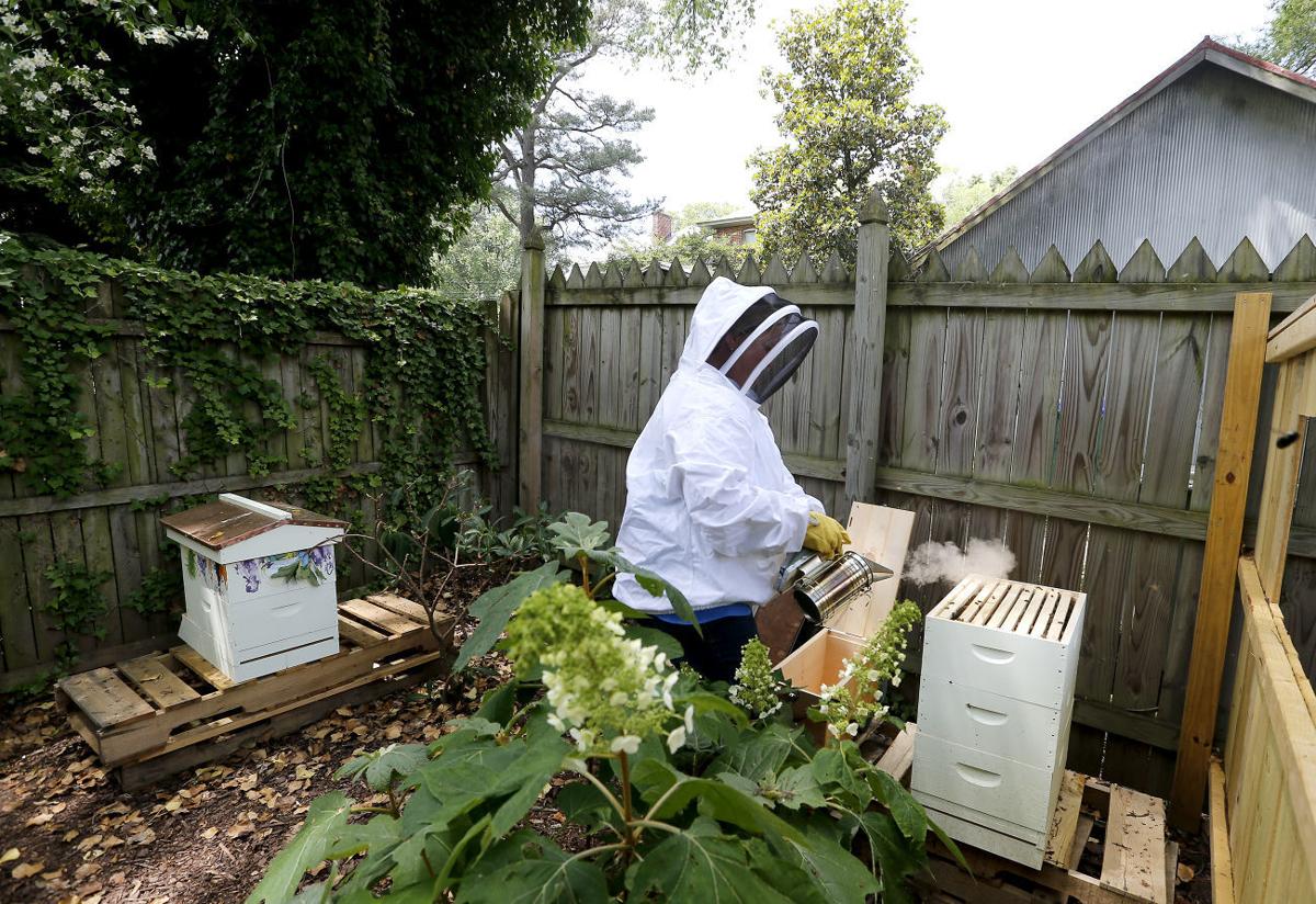 Urban beekeeping can be a sweet hobby Life