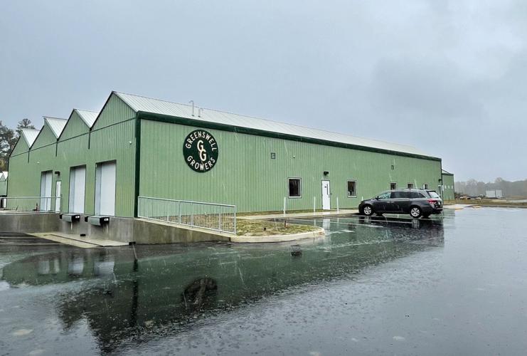 17 million hydroponic greenhouse opens in Goochland growing leafy greens for grocery stores and