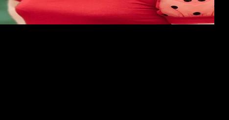 Hanover County Board of Supervisors election preview