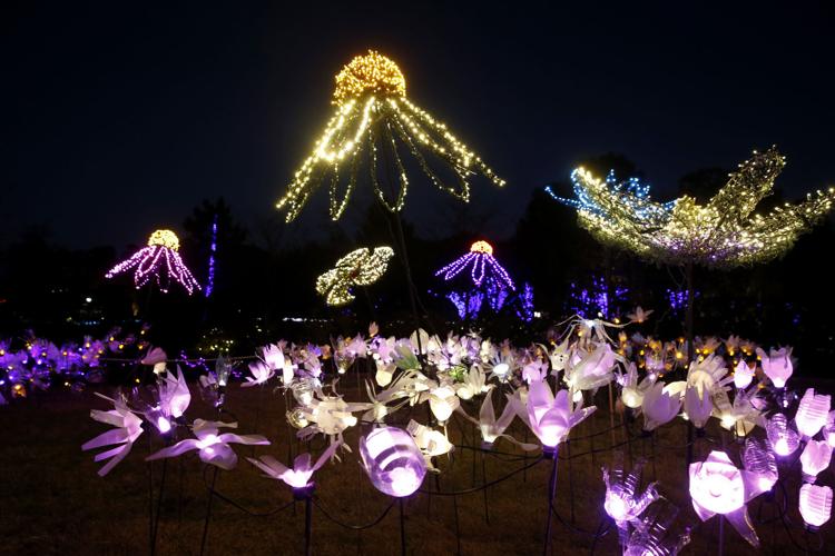 Dominion GardenFest of Lights