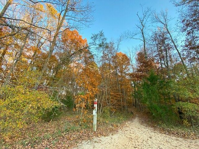 Experience fall at Powhatan State Park