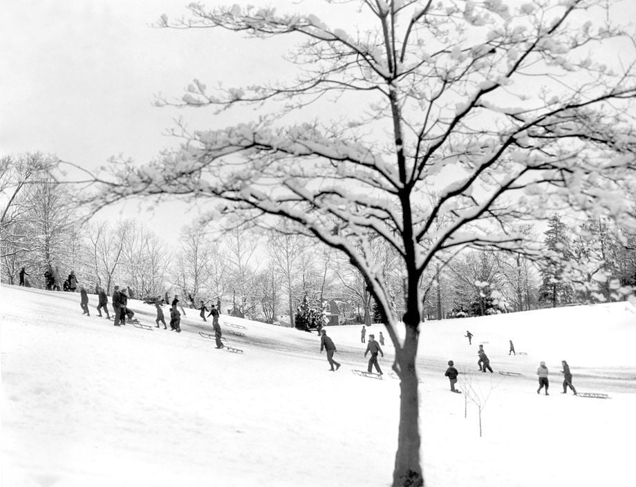 The Vikings and Thanksgiving Day: 1969 snowstorm, Marshall parties