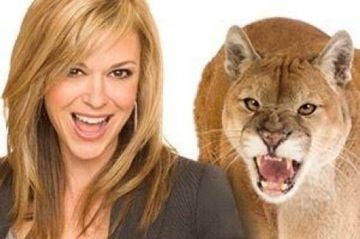 Cougar young and Extreme Cougar