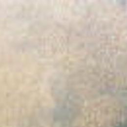 Evidence Points To James River Catfish Poaching Richmond Latest News Richmond Com