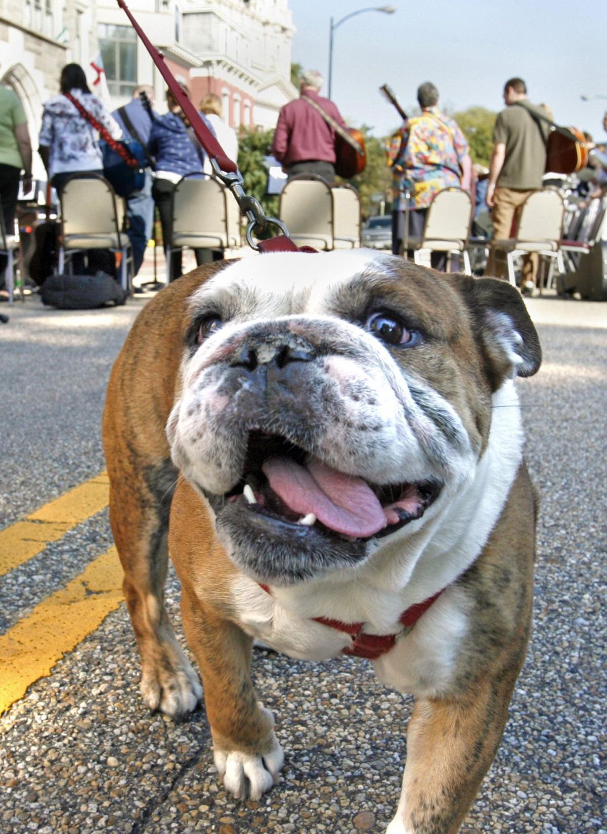 Photos Richmond Area Animals Through The Years From The Archives Richmond Com