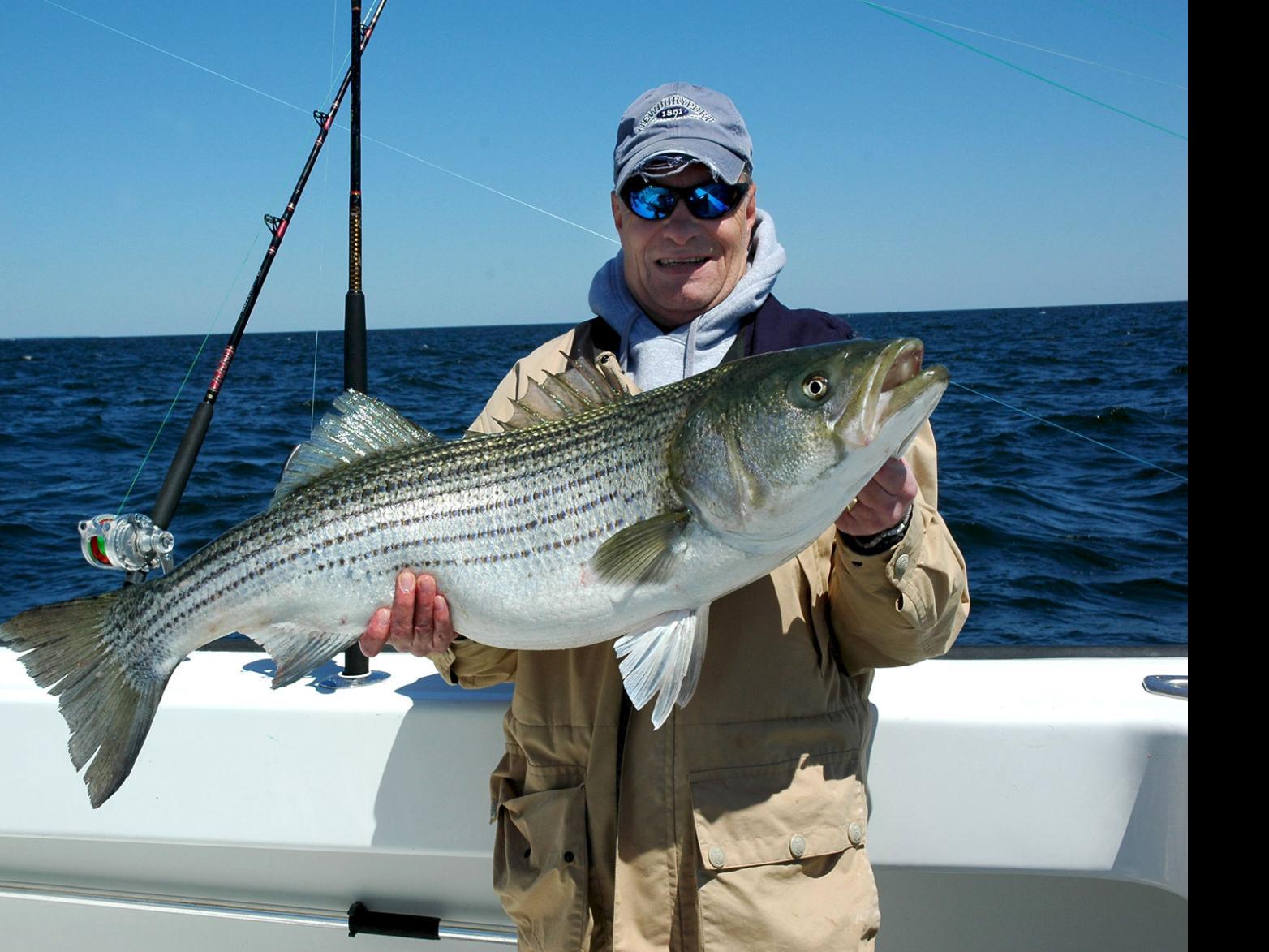Striped Bass Trophy Fishing Season Could Be Canceled In Virginia As Population Declines Virginia Richmond Com