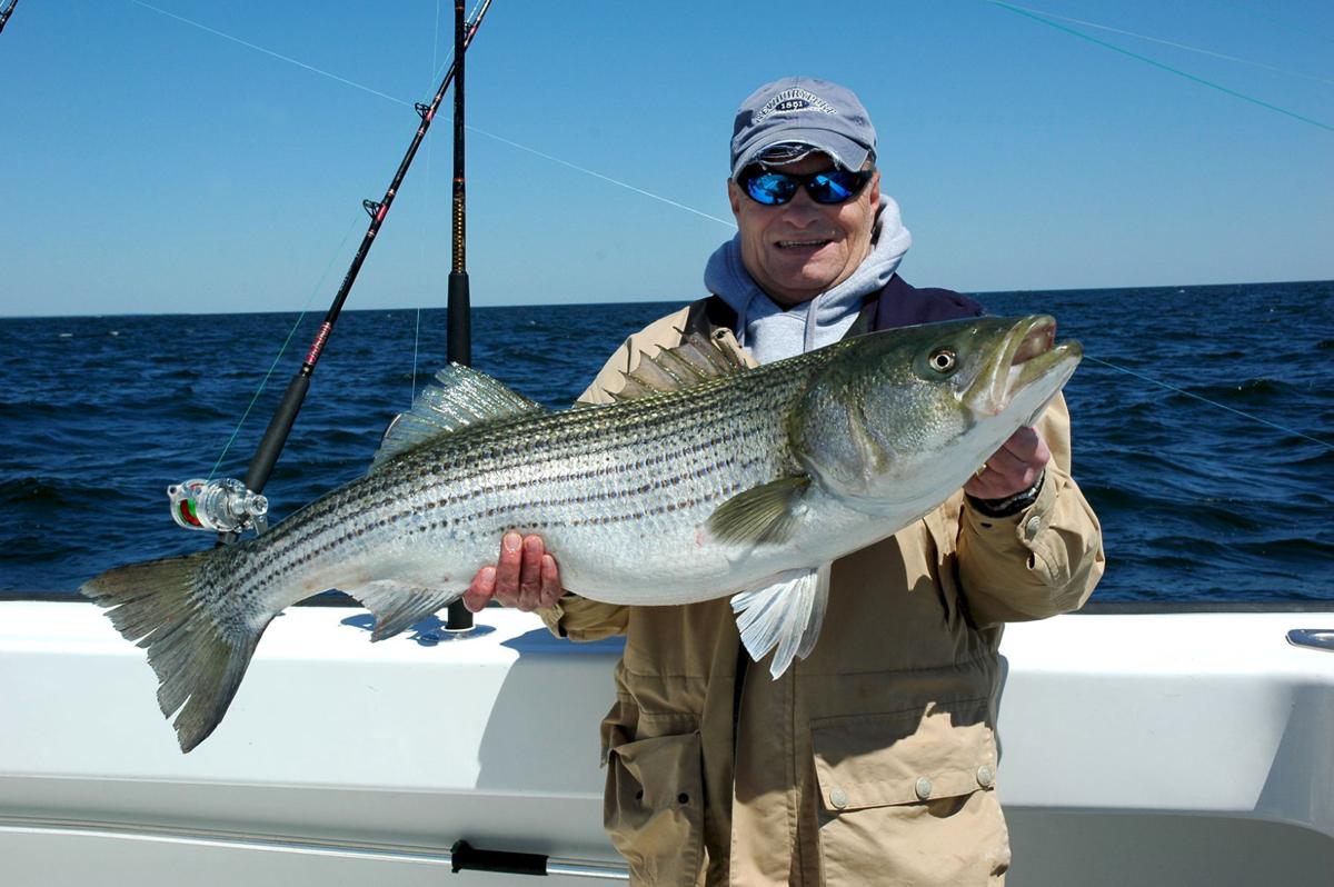 Striped Bass Trophy Fishing Season Could Be Canceled In Virginia