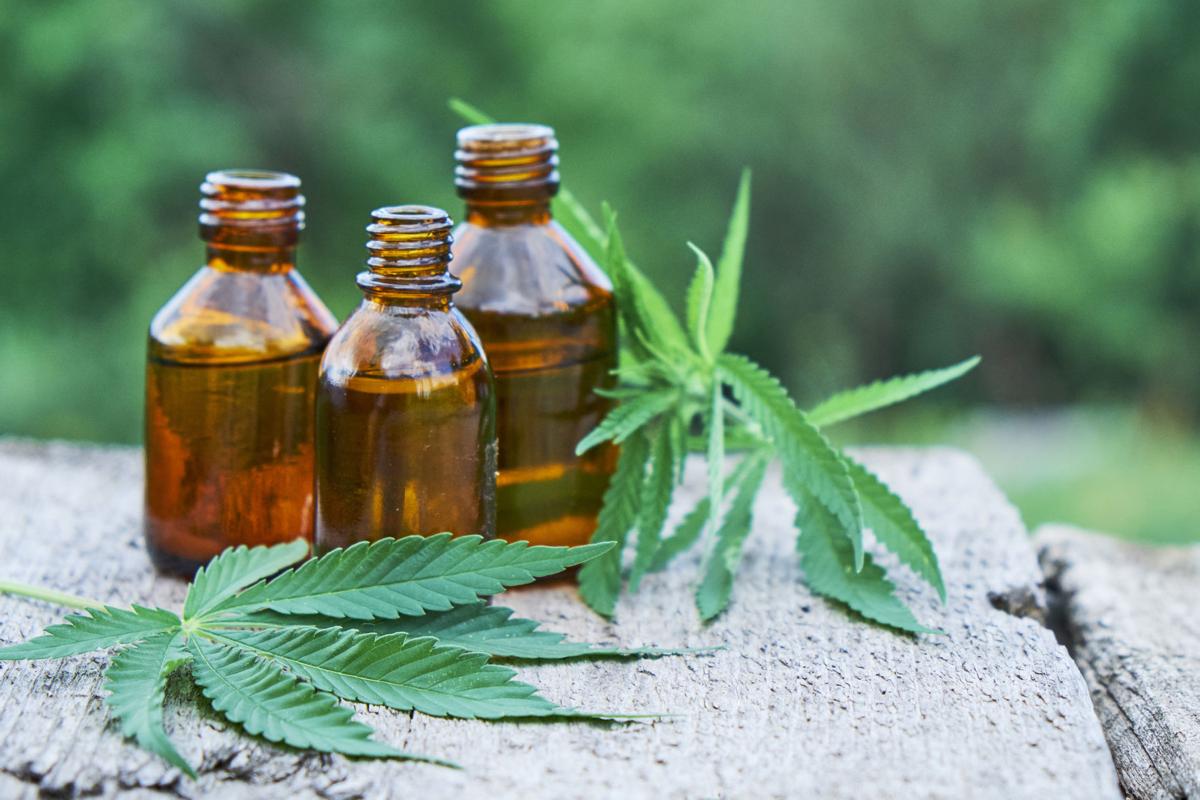 Hemp leaves and CBD