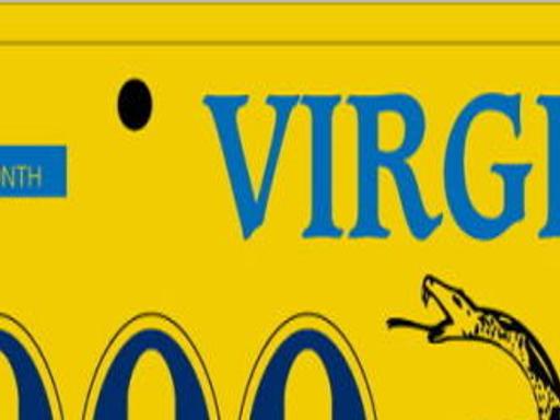 Don T Tread On Me License Plate Proves Popular In Va Richmond Com