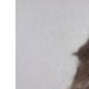 Madison Ivy Obituaries Richmond Com