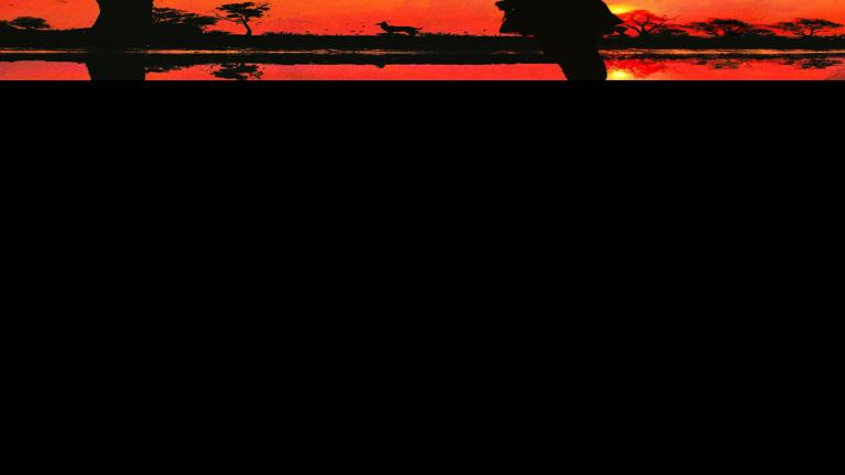 Garden Events With A View Lusaka Book Review Fiction The Garden Of Burning Sand Entertainment