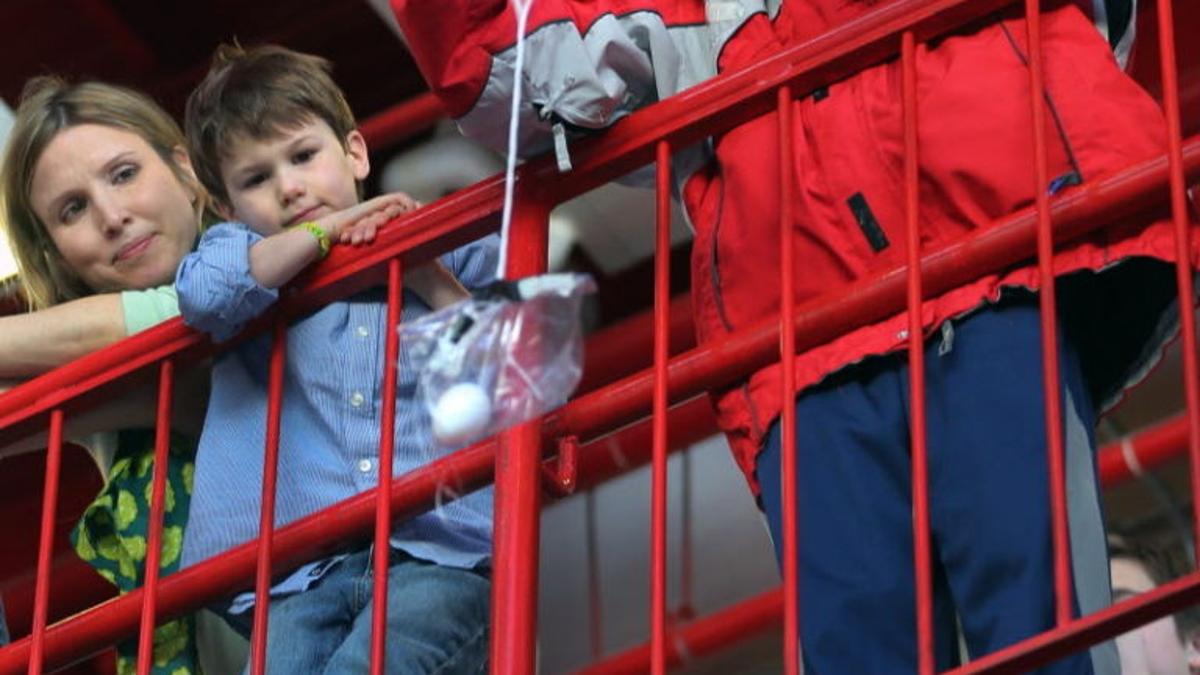 Eggs Fall To Floor Revealing Gooey Yolks Youngsters Interest In